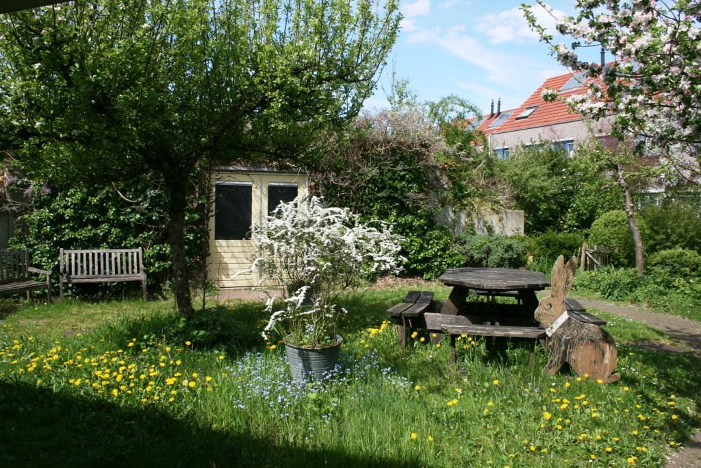 Het brinkje van Polderdrift